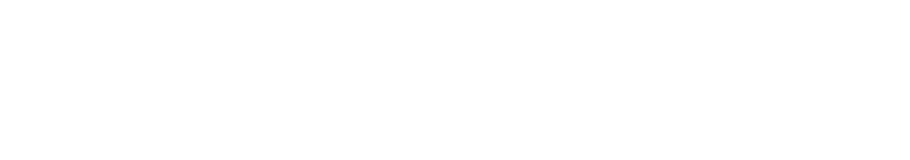 DIE WELT
